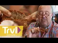Legendary BBQ in Kansas City Bizarre Foods with Andrew Zimmern Travel Channel