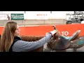 Saddle Fitting 5 Most Important Things to Look For