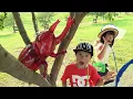 Download Lagu 巨大カブトムシが出た！虫取りするよ！big beetle insect catch pool Pretend play