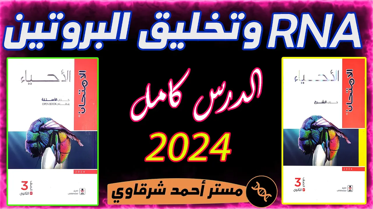 حل كتاب الامتحان احياء 3ث 2024 RNA وتخليق البروتين