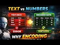 Encoding in ML Explained Python Code Example tho