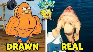 8 sponge bob squarepants characters in real life