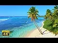 Download Lagu 4K Video (Ultra HD) Unbelievable Beauty
