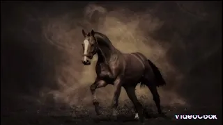 الله يامحلا ومأقسى الذكريات 