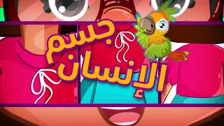 انشودة اجزاء الجسم Body Parts Song In Arabic سارة ولوز أناشيد الروضة 2021 