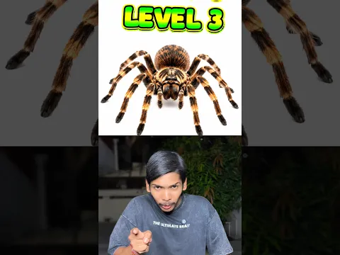 Find the Hidden Animal 🕷️ !Let's see how sharp your eyes are 🤯🧠 #shortsfeed