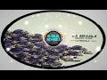 Michel Cleis - La Mezcla (Vincz Remix)