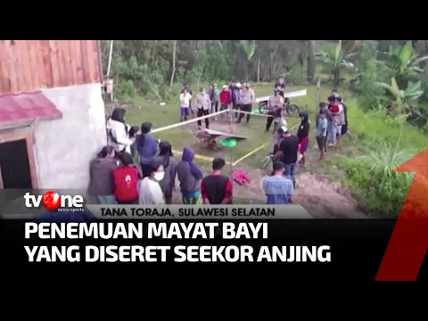 Dikira Boneka, Warga Kaget Anjing Peliharaan Bawa Jasad Bayi