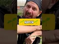 🌱Hopfen anbauen ​🌱FOLGEN  #moafire #steffenprase #keepitburning #gartentipps #gartenhacks #garten