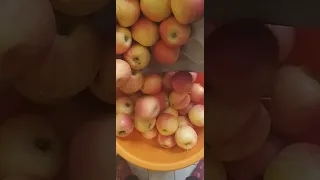 Dropping Apples Sounds Asmr Asmrsounds Shorts Viralvideo Trending 