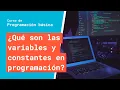 What Are Variables and Constants in Programming Basic Programming Course