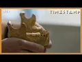 Lagu The Hybrid Human Fossils That Shocked Scientists | Human | BBC Timestamp