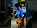 Download Lagu saat ronda malam menikmati dan menghayati sambil joget ngdengerin lagu jaipong!!