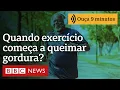 Download Lagu Quando o corpo começa a queimar gordura durante o exercício?