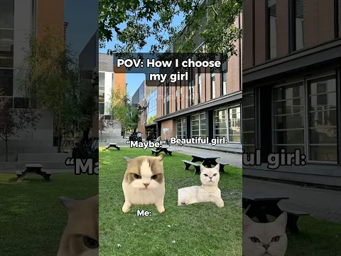 How I choose my girl #catmemes #shorts #relatable