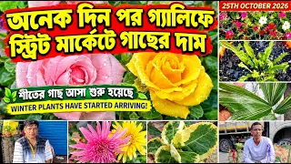 অনেক দিন পর গালিফস্ট্রিট মার্কেটে গাছের দাম🌿Galiff St.Plant Market🌿गालिफ़स्ट्रीट खुल गया है 🌺25/10/26