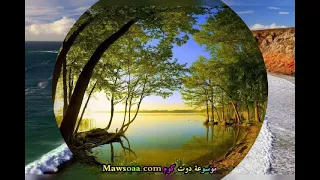 حالات واتس اب احنا الصعايده فديو جميل 