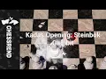Download Lagu Kadas Opening: Steinbok Gambit #Shorts