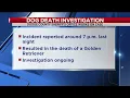 Dodge Co Sheriff s Office investigating dog death