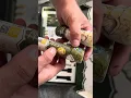 Review Overview of all the Tusk Kratom Products in One