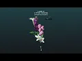 Lane 8 - Little Voices (Anderholm Remix)