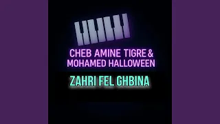 زهري فالغبينة 