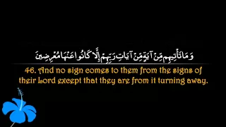 Surah Yaseen Sa Ad Al Ghamdi سورة يس سعد الغامدي 