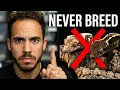 WARNING NEVER BREED THESE CRESTED GECKOS TOGETHER