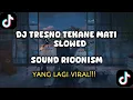 Download Lagu DJ TRESNO TEKANE MATI VERSI CEWE SOUND VIRAL DJ RIOONISM | VIRAL TIKTOK 2025 | SLOWED