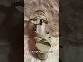 Download Lagu https://vt.tiktok.com/ZSA5hmvsn/