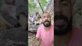 لا امان للبشر 