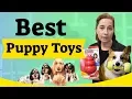 Best Puppy Toys to Keep Them Busy