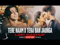 Download Lagu Tere Naam X Tera Ban jaunga Lofi Mashup| Amit lofi