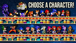 Sonic game with over 30 playable characters Online Multiplayer Level Up System