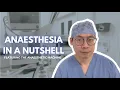 Inside the High-Tech World of Anesthesia Machines Basics You Need to Know