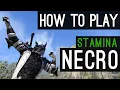 Stamina Necromancer How to Play Beginners Guide for ESO Elder Scrolls Online