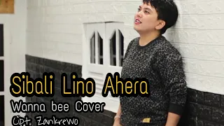 Download Wanna Bee - Sibali Lino Ahera (cover) || Cipt. Zankrewo | Lagu Bugis MP3