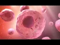 How Does Red Light Therapy Work?