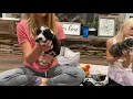 Mercy s puppies