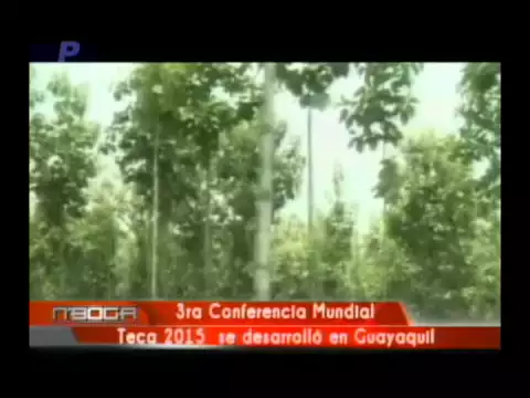 3ra conferencia mundial Teca 2015 se desarrolló en Guayaquil