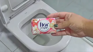 O Segredo do Sabonete no Vaso Que Está Viralizando!