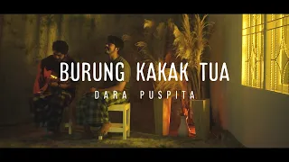burung kakak tua dara puspita rayhan cover 