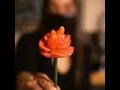Trevi Cafe Wine Bar - Valentine s Day Specials