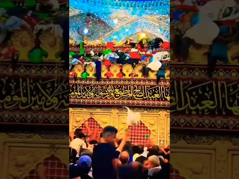 I love Allah❤ #islamicvideo #shortvideos #ytshorts #allah #islamicstatus #viral #youtubeshorts #nhs 