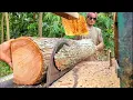 Download Lagu SANGAT PROFESIONAL !! Gergaji kayu mahoni dan jati - mesin serkel rakitan 