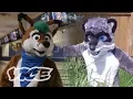 The Truth About Furries Fandom Not Fetish