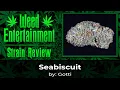 Seabiscuit - by Gotti