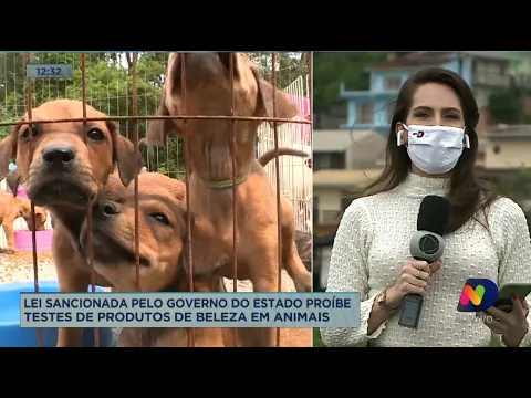 Lei sancionada pelo governo do estado proíbe testes de produtos de beleza em animais