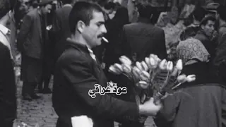 عود عراقي  طربياات   الطيبة من تعشك حلال وتالي تندم   بدون موسيقى              ۽    دندنها
