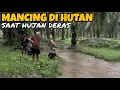 Download Lagu Mancing Ikan Di Hutan Saat Hujan Deras! Inilah Yang Terjadi!